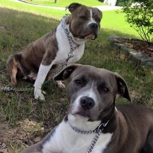 Meet your Posher, Allwyn